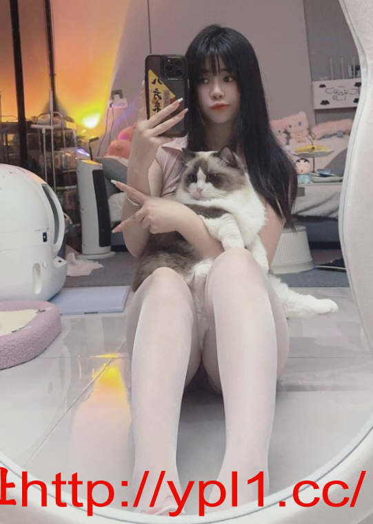 20241120uqtyq2wum0g.png