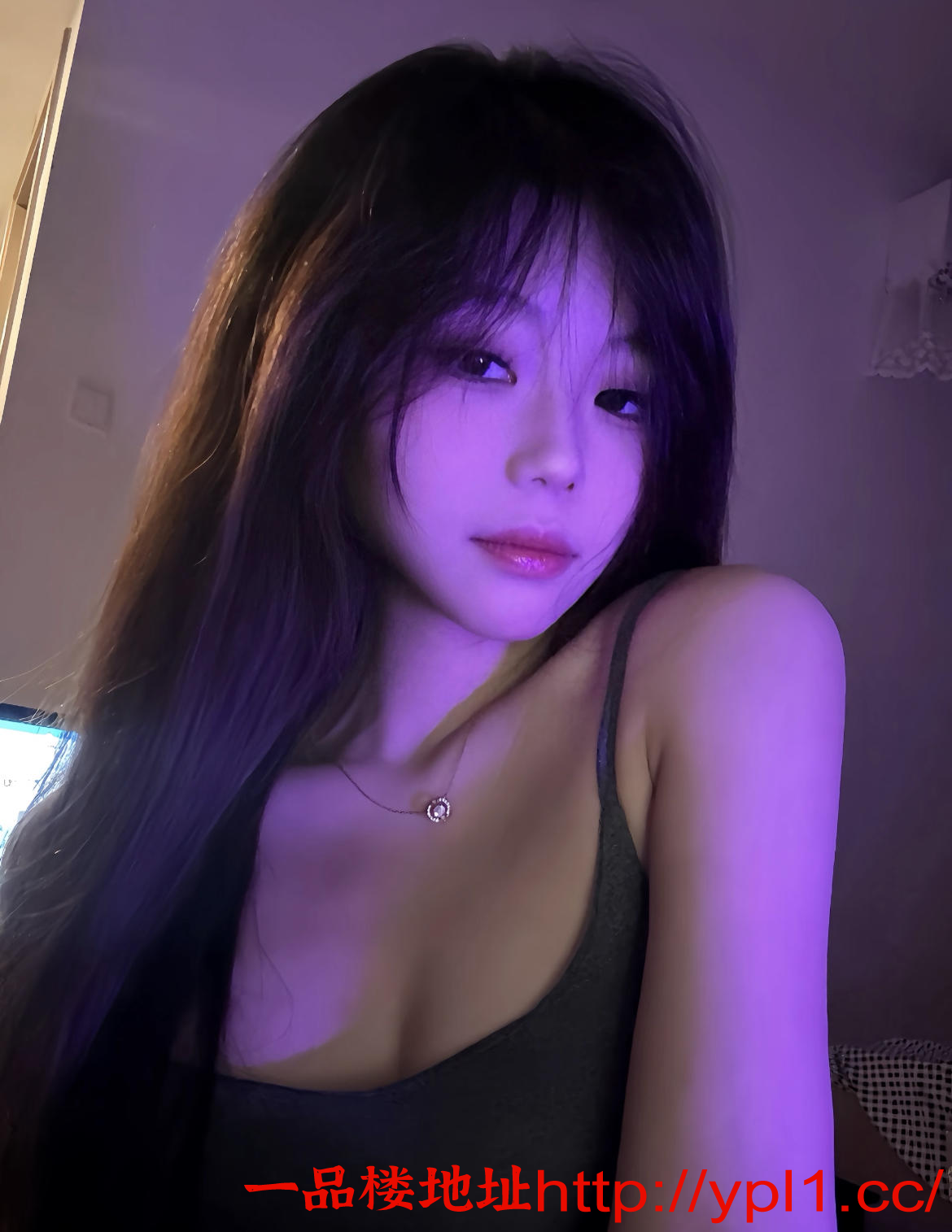 12.png